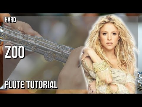 How to play Zoo by Shakira on Flute (Tutorial)