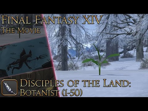 Final Fantasy XIV: Class and Job Quests (Botanist pt1)