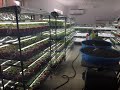 Tour of our grow room, thousands of vegetable transplants! #Growroom, #Plants, #Farming, #Vegetables