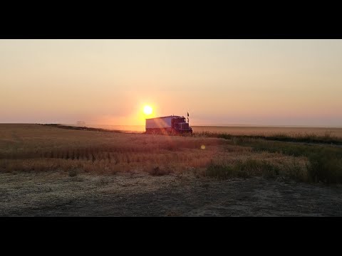 🔴Live! Harvest 2018 Part 3 - Welker Farms Inc