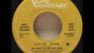 The James Cotton Blues Band - Feelin' Good.wmv