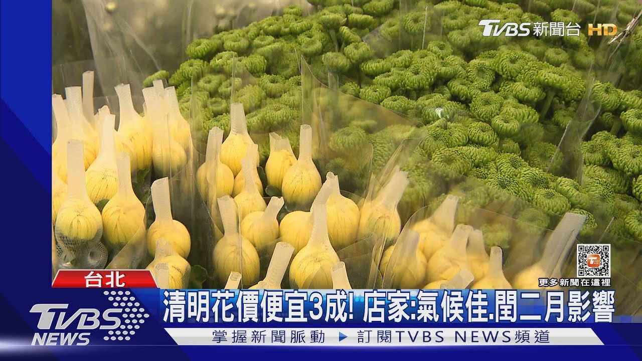 清明應景!菊花、劍蘭價便宜3成 潤餅訂單增4成