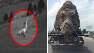 5 Dinosaurs Caught on Camera &amp; Spotted in Real Life