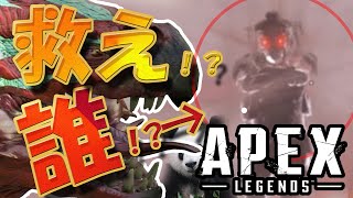 【Apex】え？いまさら？白いカラスの場所　ブラハイベント【エーペックス】【なんか間違ってるAPEX】