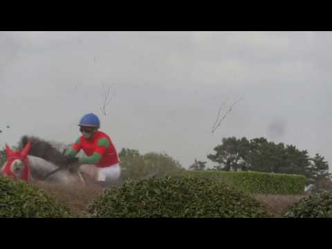 競馬 J・G1 2016年 第18回 中山グランドジャンプ 大竹柵障害　飛越 馬場内視点 現地撮影