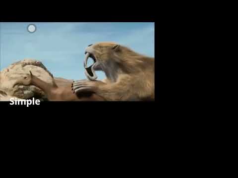 Simple • Thylacosmilus VS Macrauchenia 