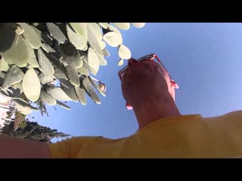 106-001 #All #Israel ‪#Ofakim‬ #Shapiro #11mar16 Preview