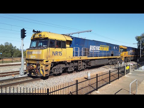 NR15 + NR59 + NR65 #7MP5