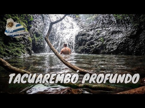 TACUAREMBÓ PROFUNDO Y LOS TESOROS NATURALES OCULTOS EN LA CUCHILLA DE HAEDO #tacuaremboprofundo #uy