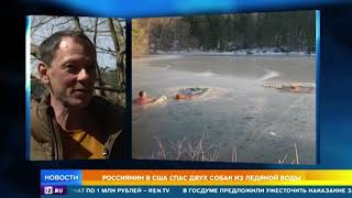 Спасший собак сибиряк стал кумиром американцев