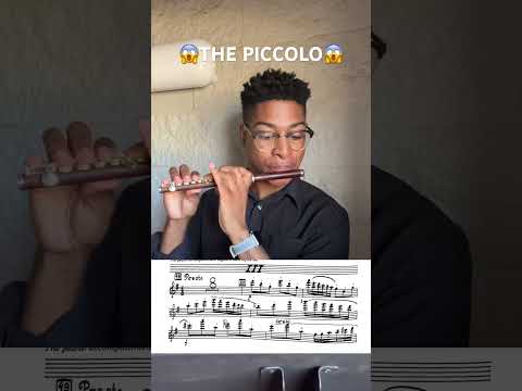 guess that excerpt 👀 #piccolo #flute #excerpt #musician