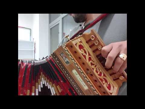 " TARANTELLA RIGGITANA" (solo organetto) - Fortunato Stillittano