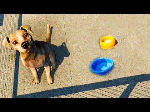 Adopt Dogs ( Animal Shelter Sim Game ) Part 3