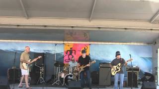 Surfaris "Point Panic"