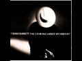 T Bone Burnett - 7 - Every Little Thing - The Criminal Under My Own Hat (1992)