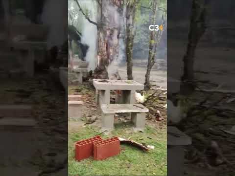 INCREÍBLE IMAGEN TRAS LA TORMENTA EN CÓRDOBA 🌳🔥