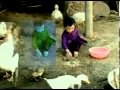 Xuân Mai Mot Con Vit YouTube