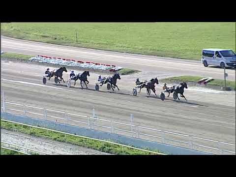 Napoli Trotto 05/05/2023 - 7ª corsa