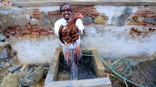 Cover art for Dunk le chiken