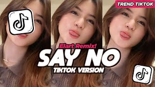 Download lagu DJ SAY NO TAPI TUNGGU DULU KAU JANGAN BESAR KEPALA I WILL SAY NO SAY NO KAMU KAMU LELAKI BUAYA DARAT mp3