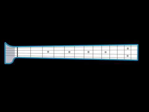 bassguitar fretboard