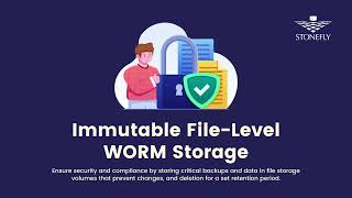 Ransomware Protection Suite in StoneFly Solutions