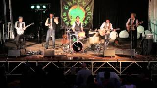 Dirty old town  (live 2015) Laurent Réval et Jean Marc Delon (Comrades Irish Band) & Thegreenduck