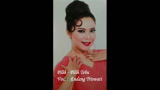 Download lagu Lagu Disco Dangdut Asik - PILIH-PILIH TEBU - Endang Triswati mp3 Download lagu Lagu Disco Dangdut Asik - PILIH-PILIH TEBU - Endang Triswati mp3