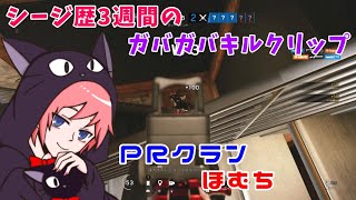 シージ歴3週間のガバガバキルクリップ#2