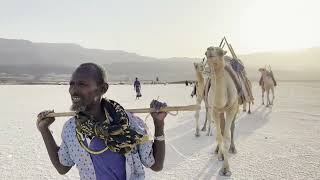 VISITER DJIBOUTI