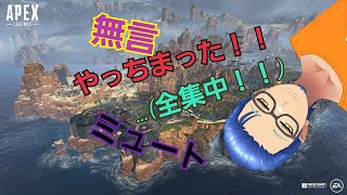マイクミュートにして録画してた挙句、どちらにせよ集中しすぎて無言だった試合wwwwwwwww【APEX LEGENDS】ノーカット無編集版