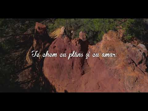 Neprihănită dragoste dintâi - video