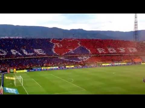 "La hinchada mas linda del mundo, Independiente Medellín Vs Tolima, Salida Monumental" Barra: Rexixtenxia Norte • Club: Independiente Medellín