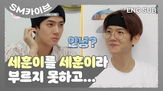 Download lagu [SUB] 홍길동의 마음이 이런 거였을까요...? #세훈이를 세훈이라 부르지 못하고... #백현 #출석부게임 | EXO’s Travel the World on a Ladder 2 mp3