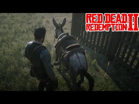 RDR 2 - A VELHA E O BURRINHO no RED DEAD REDEMPTION 2