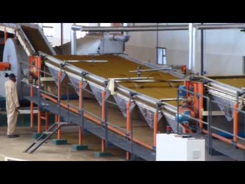 CTC Continous Fermenting Machine (CFM) & Drier