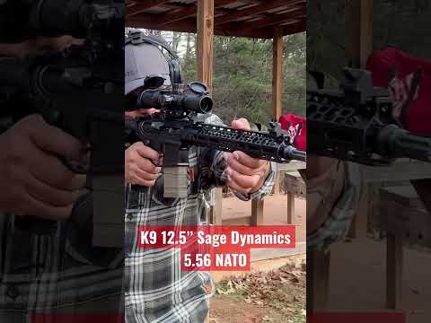 Rosco Manufacturing K9 12.5” Sage Dynamics 5.56 NATO barrel!