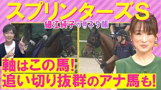 【９週連続注目馬が激走中！】「精神的に大人になった」パンジャタワー、スターアニス、フリッカージャブ・・・スプリンターズステークス(ＧⅠ)を元ジョッキーの細江さんが徹底解説！＜細江純子のネタ帳＞