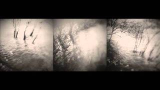 And Also The Trees - Dialogue