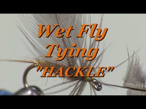 Fly Tying Hackle with Davy Wotton