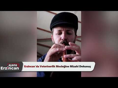 Erzincan'da Veterinerlik Mesleğine Mizahi Dokunuş