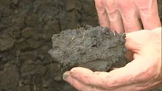 Download lagu South African Soil Classification System Part 2 mp3 Download lagu South African Soil Classification System Part 2 mp3