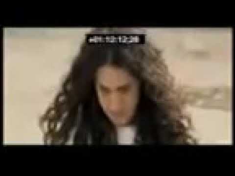 Зани зинокор