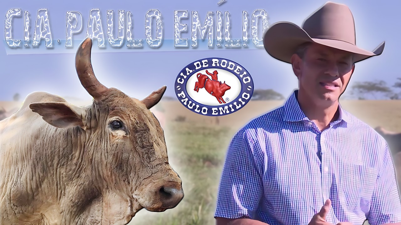 Especial Cia de Rodeio Paulo Emílio ║ Bipolar, Agressivo, Bandido 🐂