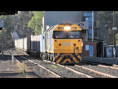 BL31-G520 on 7901V at Dunolly.  14-02-19.  08.08.53.