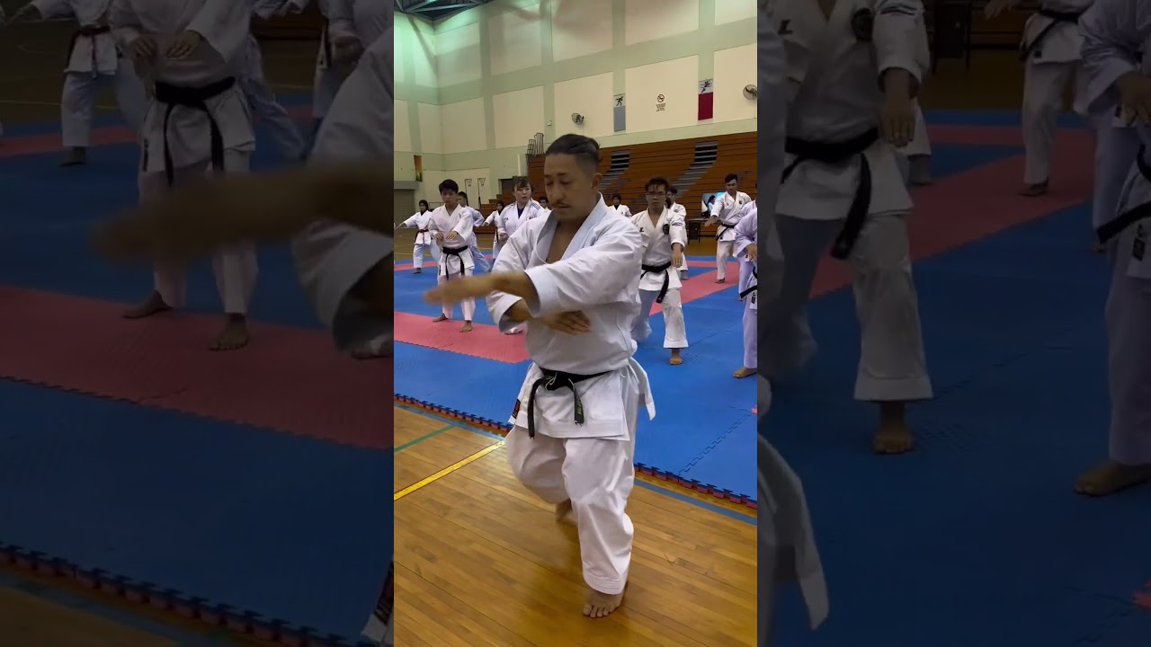 喜友名先輩のアーナンダイ講座受けてきた #karate