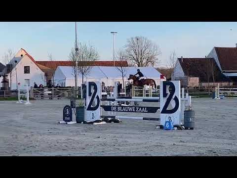 Special pleasure Stal DHC  Blauwe zaal 115