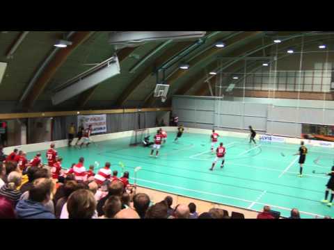 Voima - PoNoVo 7.3.2014