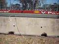 F1 Australian Grand Prix 2007