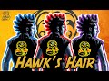 What Each Of Hawk's Hair Colours Represent